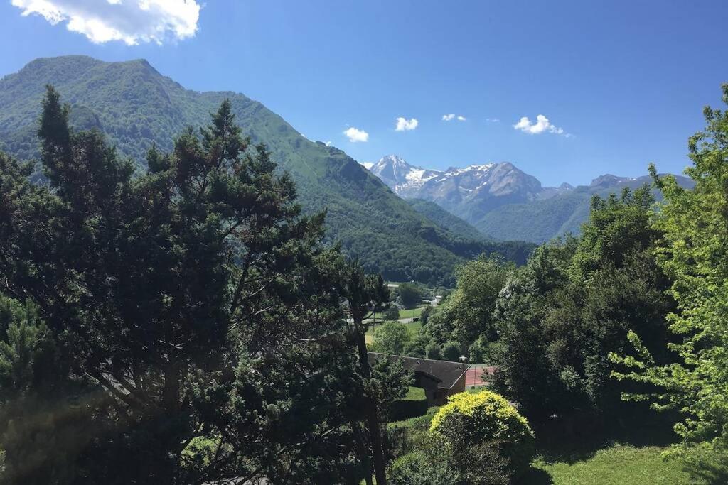 Chalet De L'Ours Brun, Gite 3 Etoiles Gere-Belesten Eksteriør billede